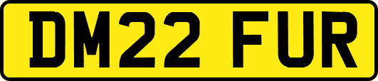 DM22FUR