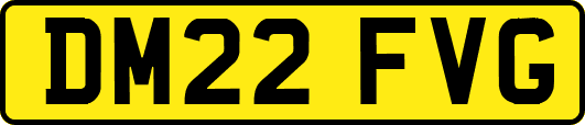 DM22FVG