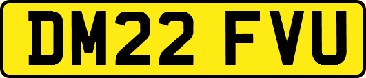 DM22FVU