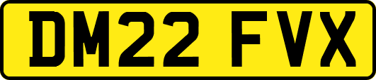 DM22FVX