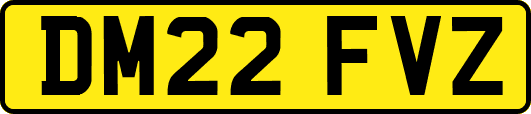 DM22FVZ