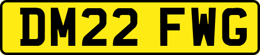 DM22FWG