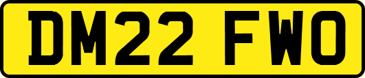 DM22FWO