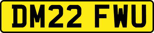 DM22FWU