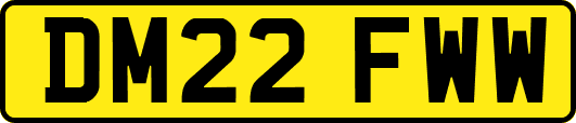 DM22FWW