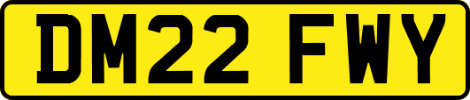 DM22FWY