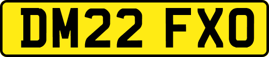 DM22FXO