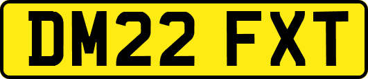 DM22FXT