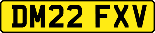 DM22FXV