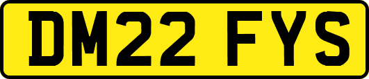 DM22FYS