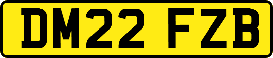 DM22FZB