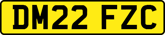 DM22FZC
