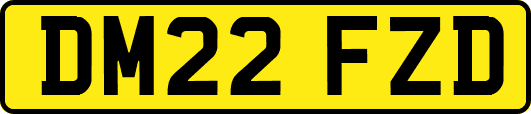 DM22FZD