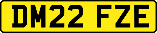 DM22FZE