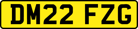 DM22FZG