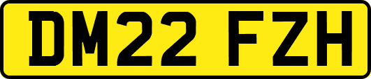 DM22FZH