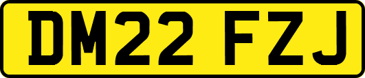 DM22FZJ