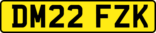 DM22FZK