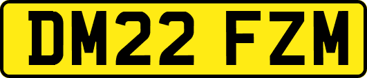 DM22FZM