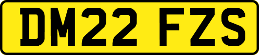 DM22FZS