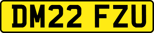 DM22FZU