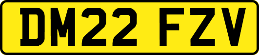 DM22FZV