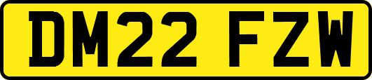 DM22FZW