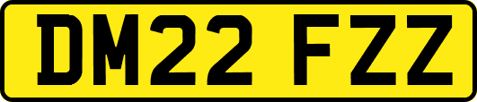 DM22FZZ