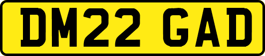 DM22GAD