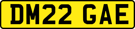 DM22GAE