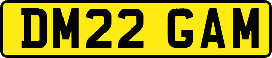 DM22GAM