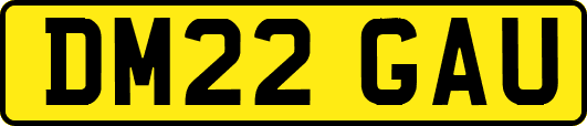 DM22GAU