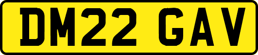 DM22GAV
