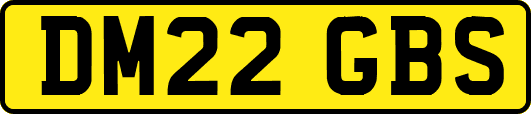 DM22GBS