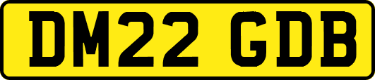 DM22GDB