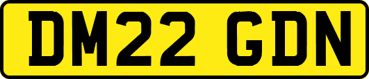DM22GDN