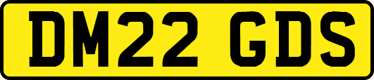 DM22GDS