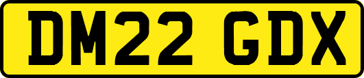 DM22GDX