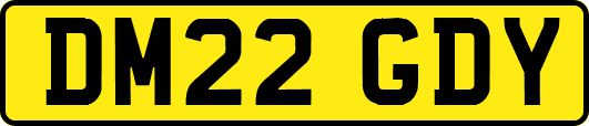 DM22GDY