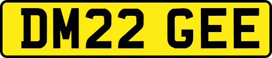 DM22GEE