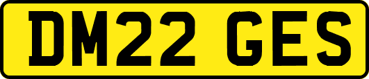 DM22GES