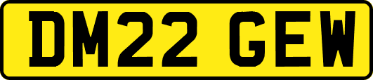 DM22GEW