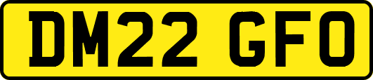 DM22GFO