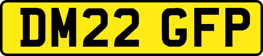 DM22GFP