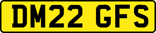 DM22GFS