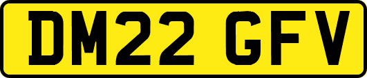 DM22GFV