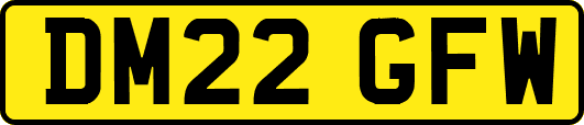 DM22GFW