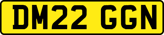 DM22GGN