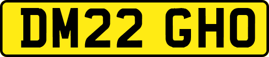 DM22GHO