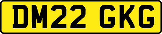 DM22GKG